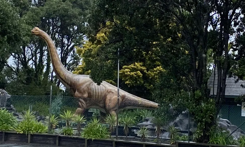 Hobson Bay Loopity, Auckland