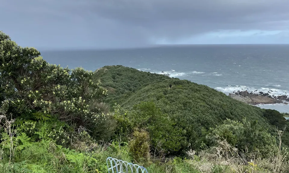 Te Raekaihau Point, Wellington