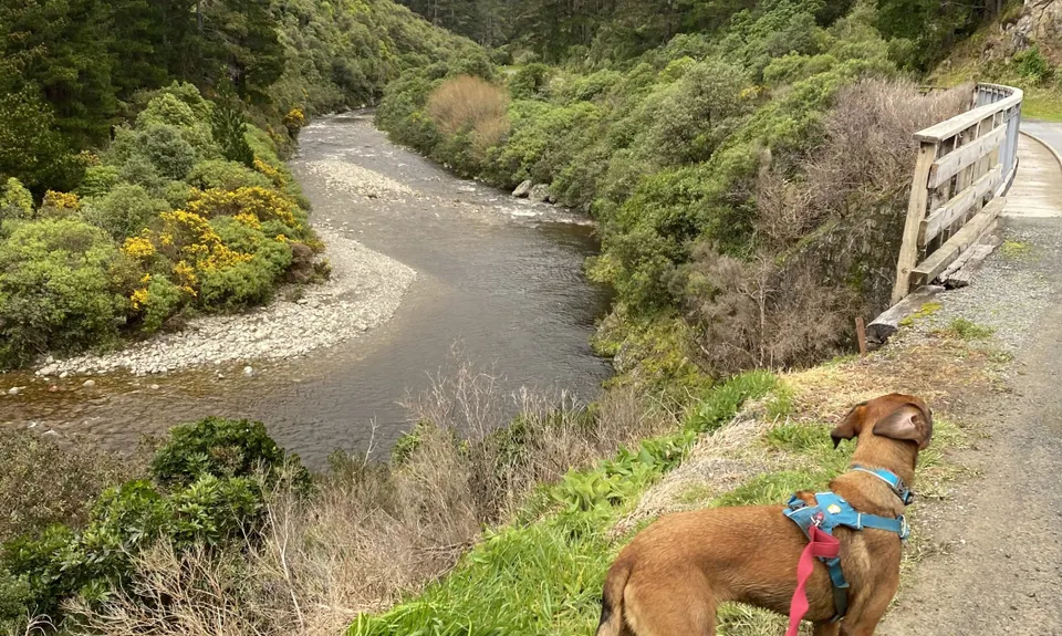 Rimutaka Incline, Wellington