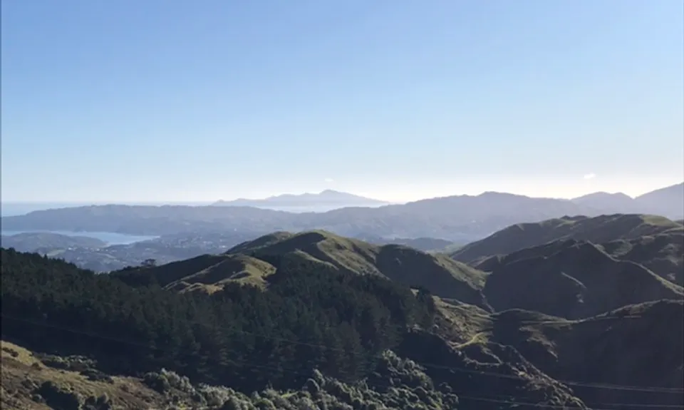 Puke Ariki Traverse, Wellington