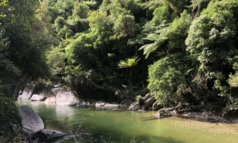 Punakaiki-Pororari loop, West Coast