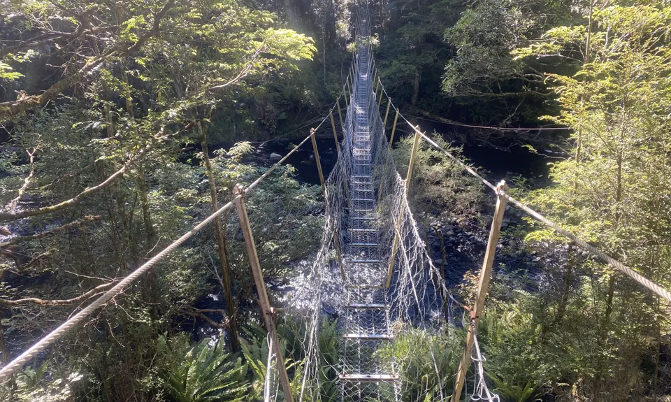 Catlins River Track, Otago