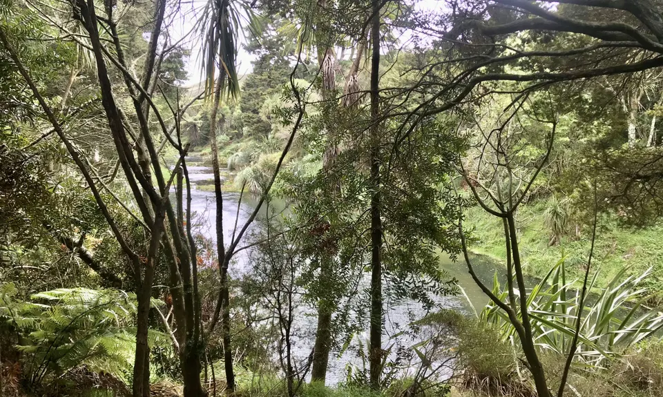 Waihi Wandering, Bay of Plenty