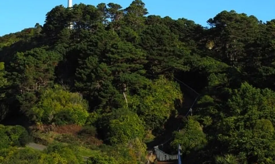 Sanctuary Fenceline, Wellington