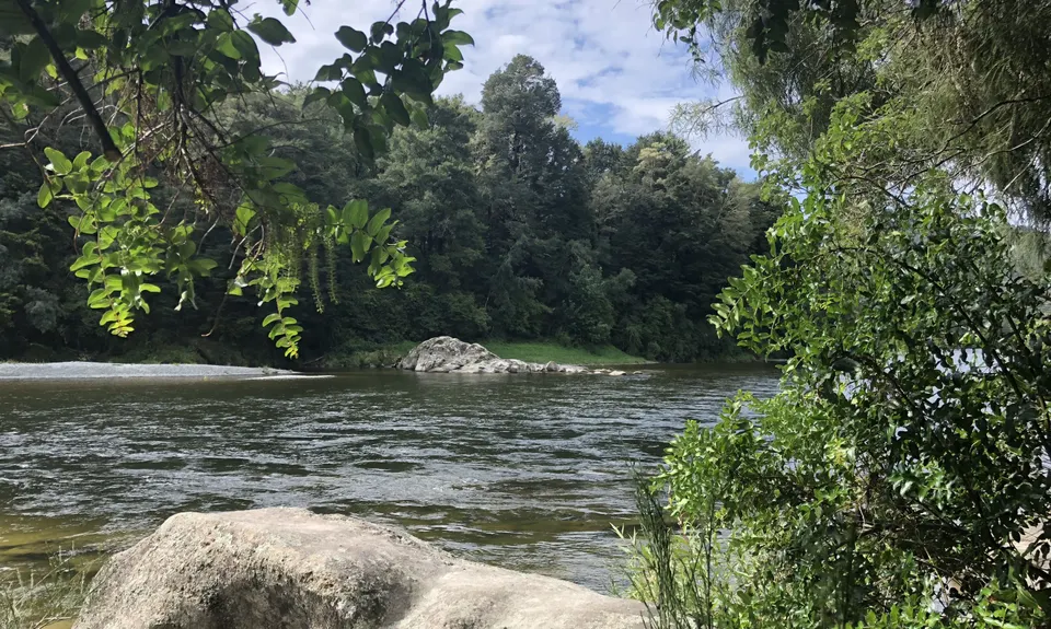 Kahikatea Trail, Tasman