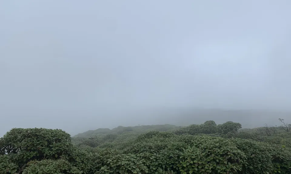 Arawaru Trig Loop, Manawatu - Wanganui