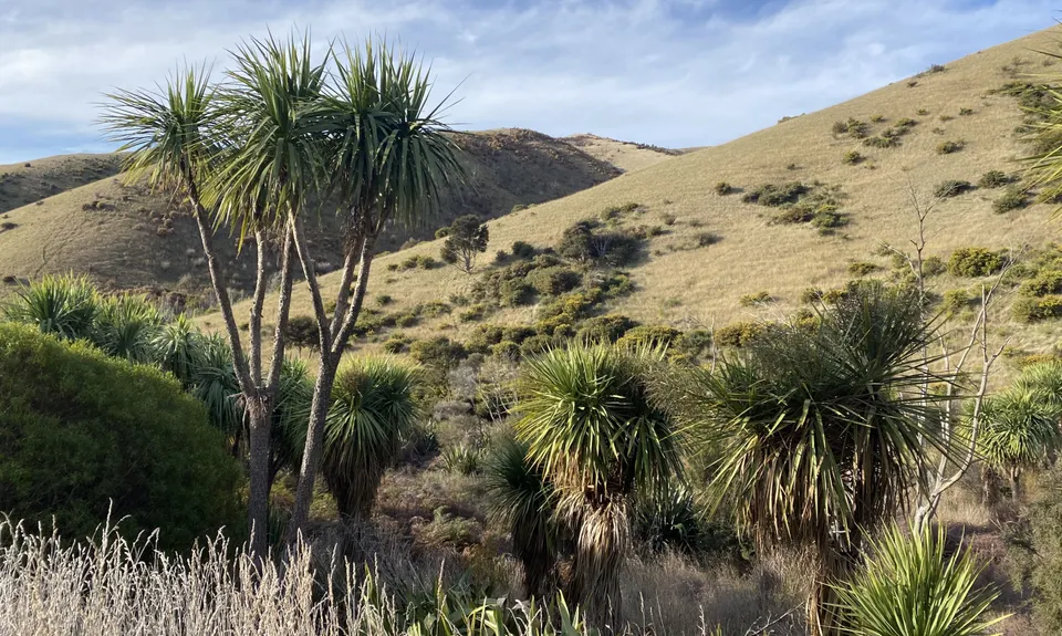 Vernon Ridgeline, Marlborough