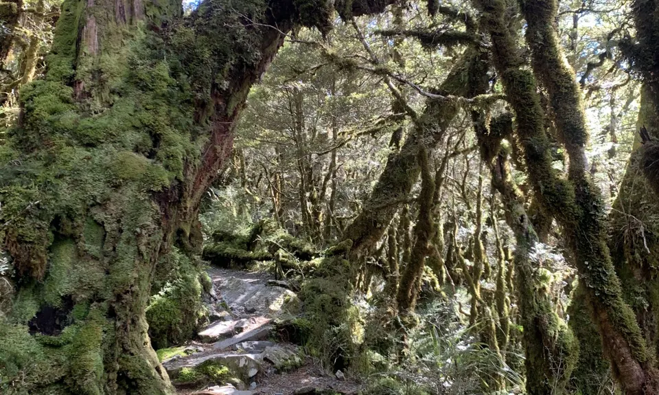 The Routeburn , Southland
