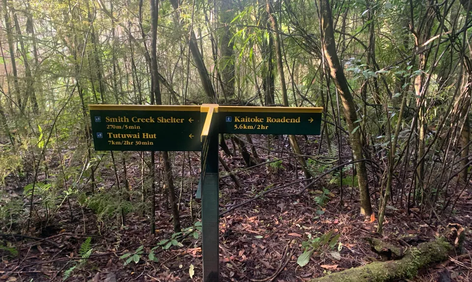 Dobson Loop, Wellington