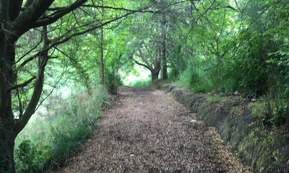 Glen Eden Reserve Loop, Otago
