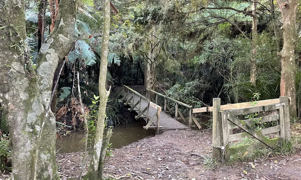 The Riverhead Capital E, Auckland