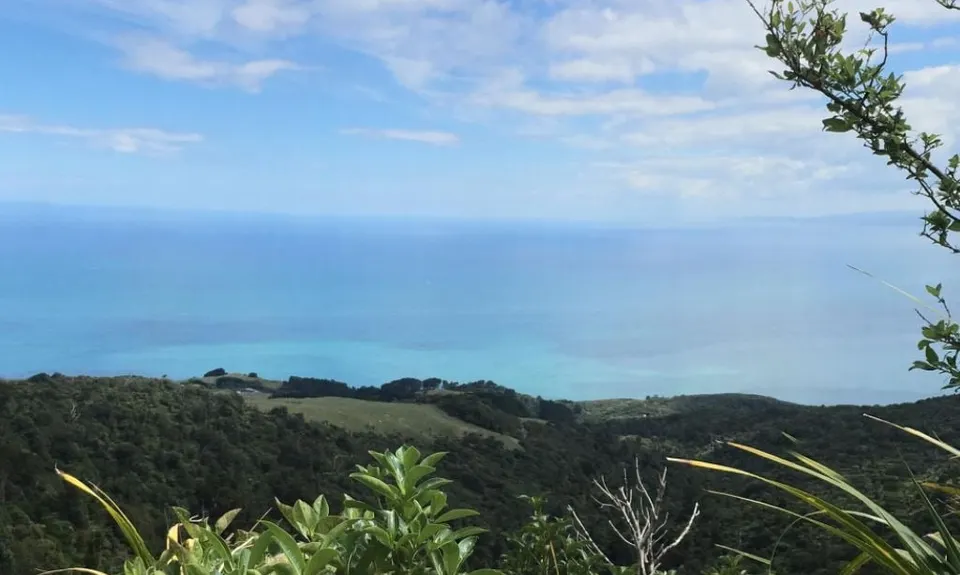 Wairake Track, Waikato