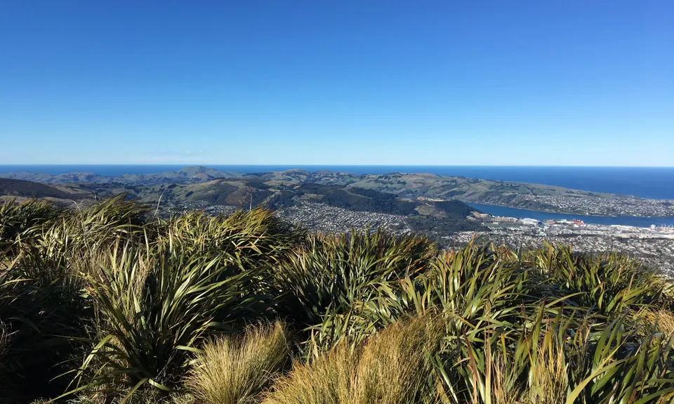 Flagstaff Swampy Circuit, Otago