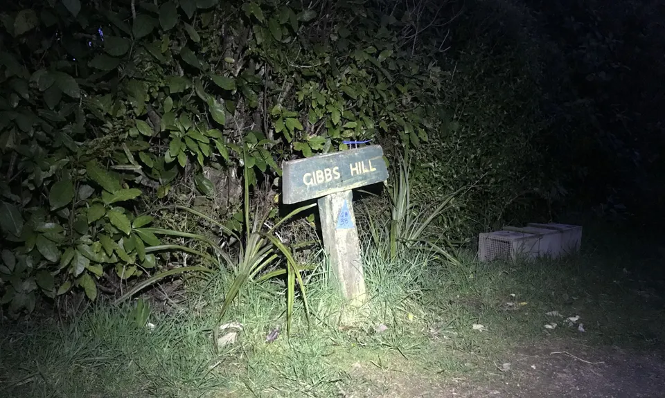 Gibbs Hill Loop, Tasman