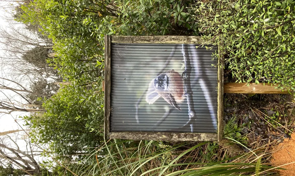 Raetihi Massive, Manawatu - Wanganui