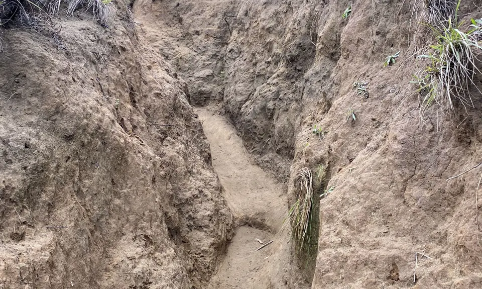 Te Henga Trail, Auckland