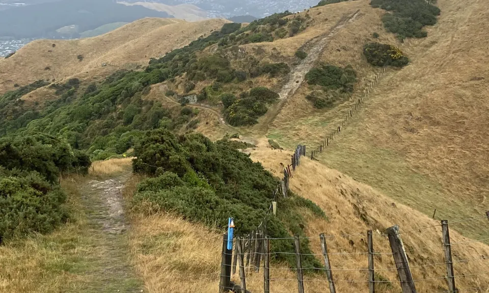 Colonial Knob - All the Hills, Wellington