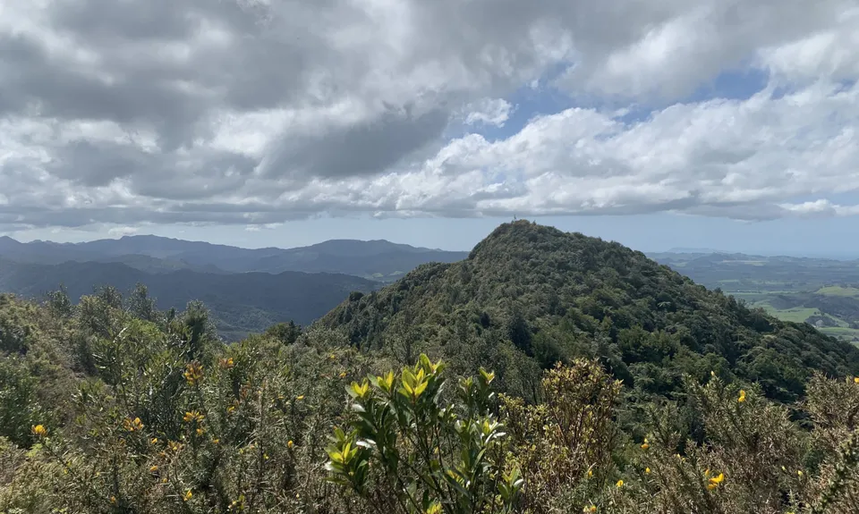 Karangahake Gold, Waikato