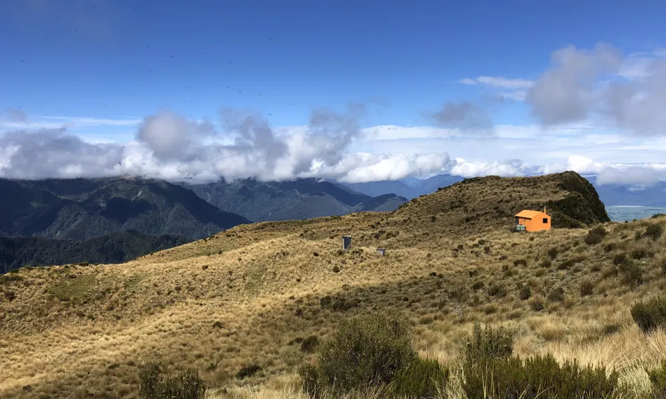 Mt Brown Hut, West Coast