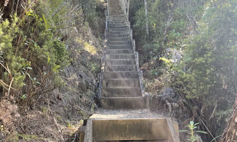 Te Henga Trail, Auckland