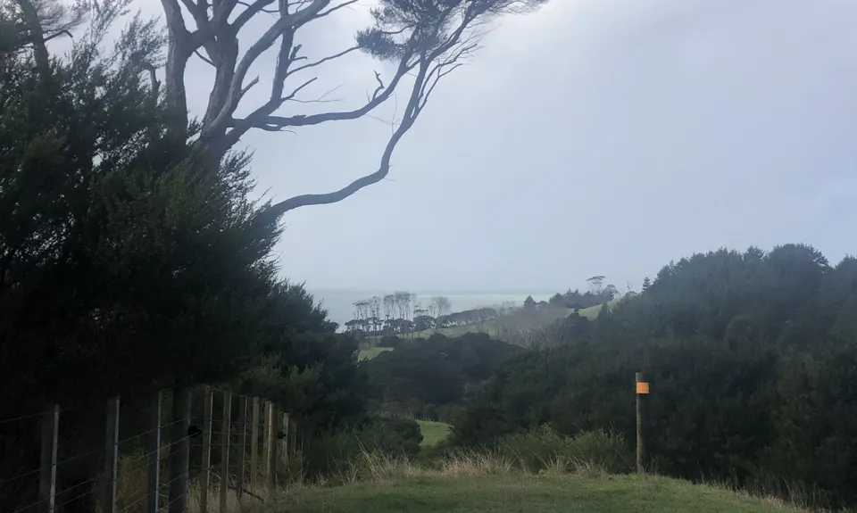 Te Rau Puriri Regional Park, Auckland