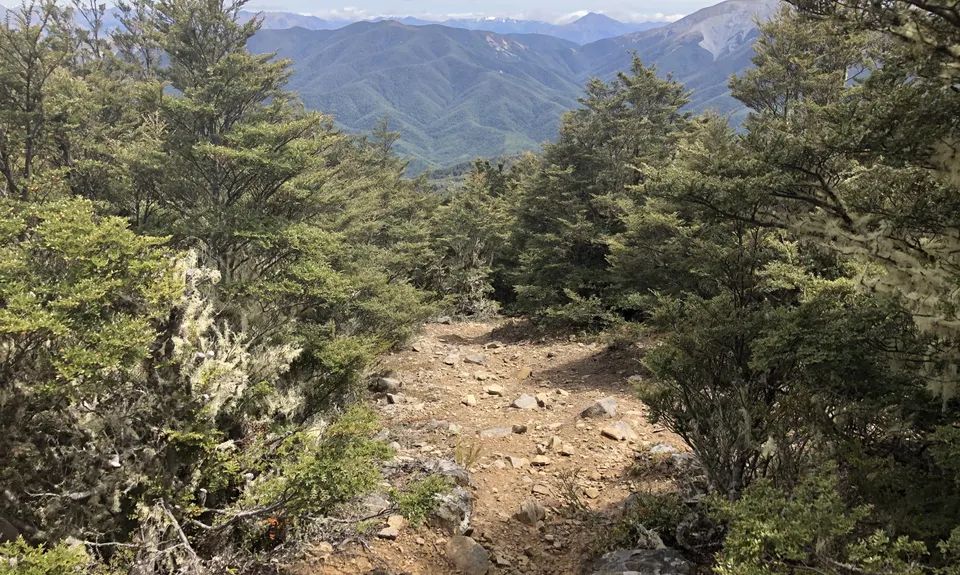 Mt Oxford Half, Canterbury
