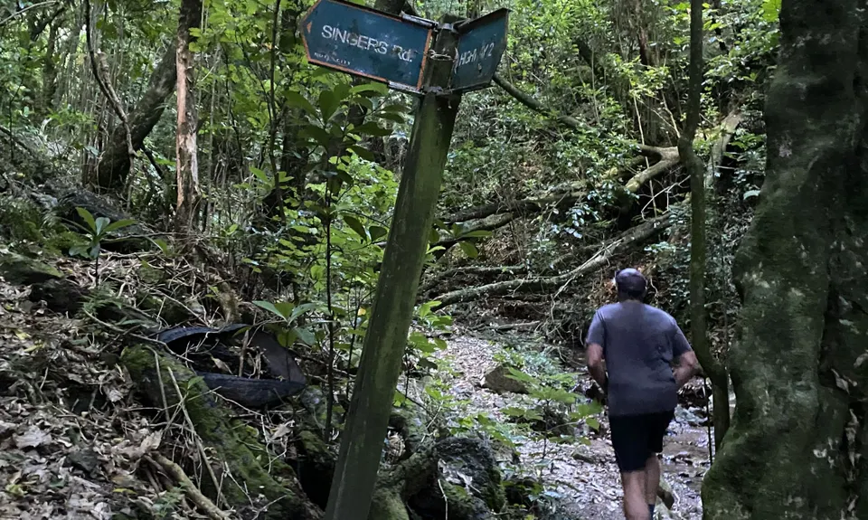 Sugarloaf and Waterfalls Loop, Wellington