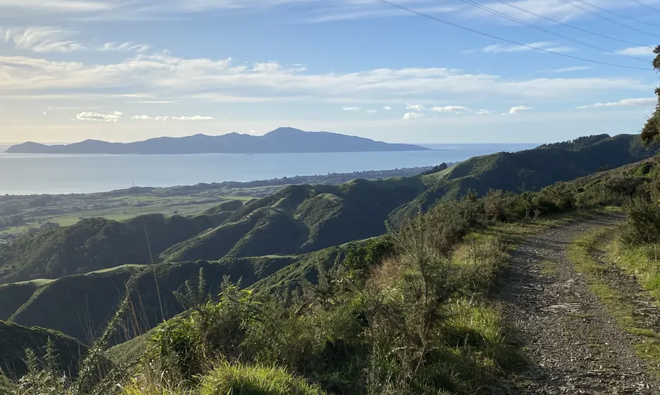 Whararoa Farm Steps, Wellington