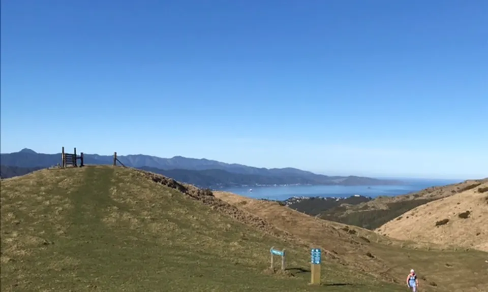 Puke Ariki Traverse, Wellington