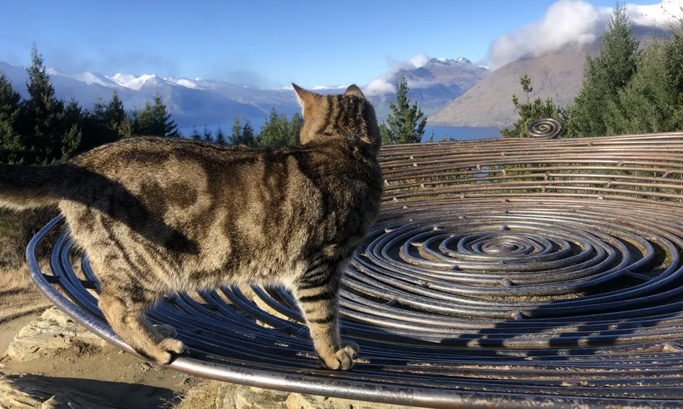 Queenstown Hill (Te Tapu-nui), Otago