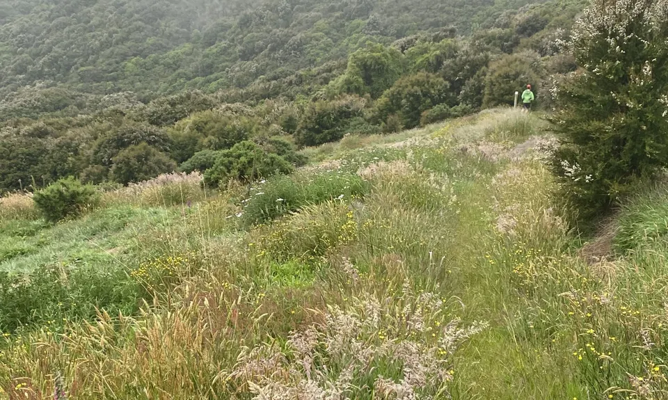 Purple Peak Pilgrimage, Canterbury