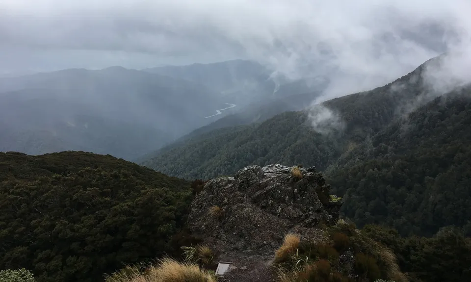 Powell Hut, Wellington