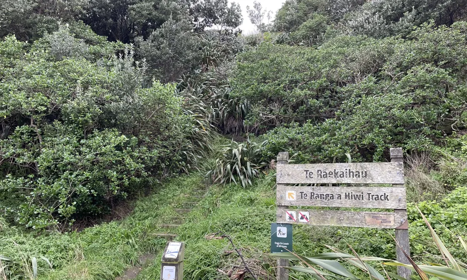 Te Raekaihau Point, Wellington