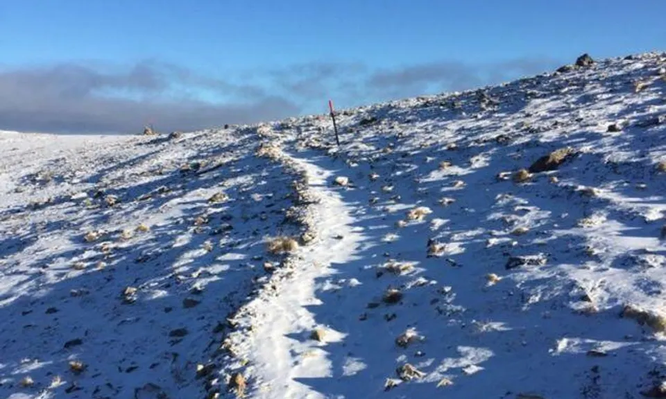 Speargrass - Robert Ridge, Tasman