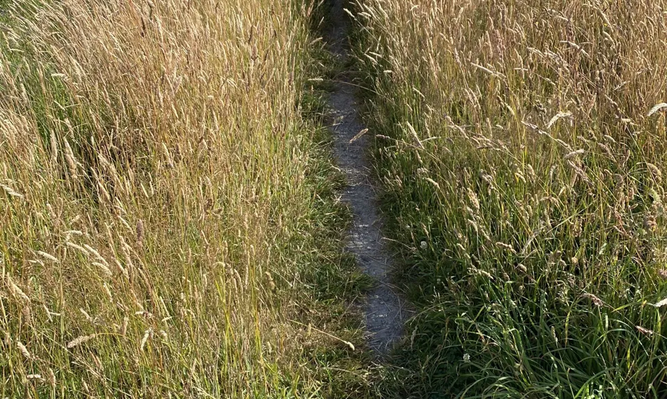 Canterbury Agricultural Park Loop, Canterbury