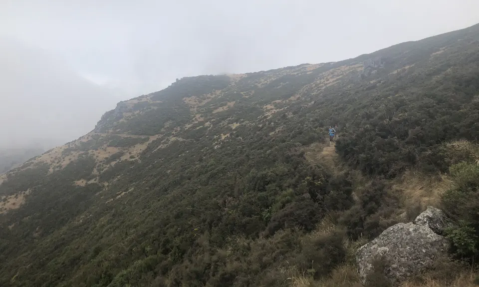 Kaituna Grande Loop, Canterbury