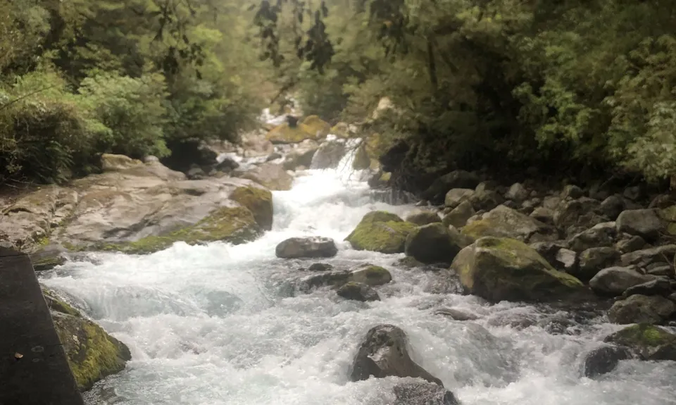 Lake Marian Meander, Southland