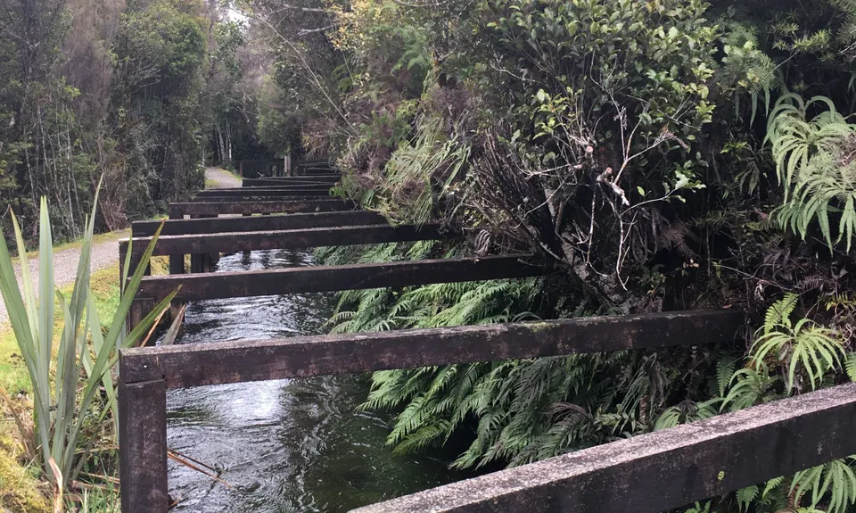 Kaniere Water Race, West Coast