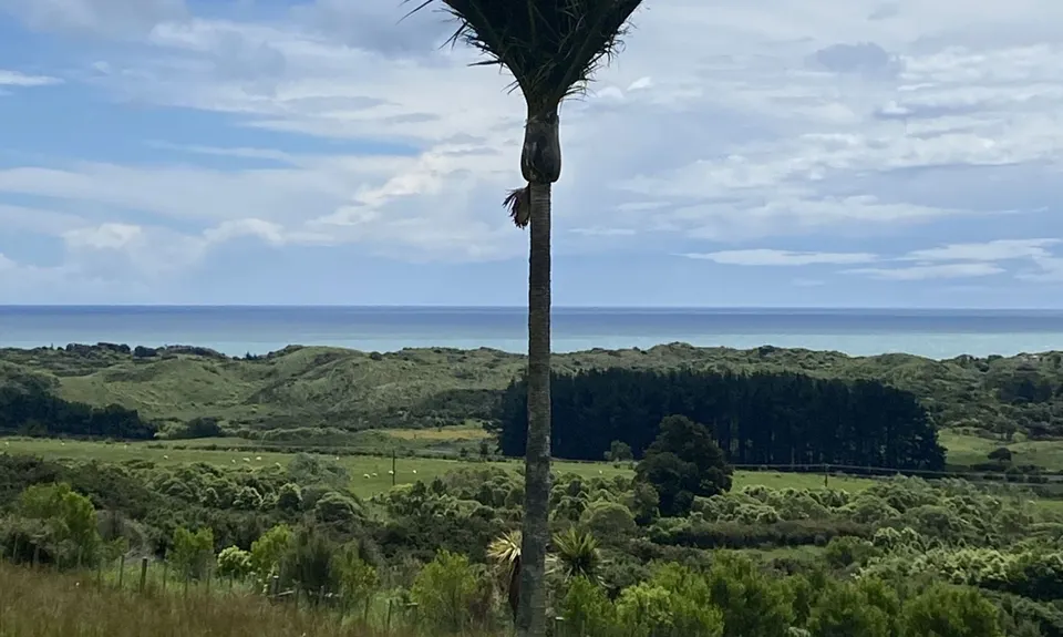 Te Ara Ramaroa Loop, Wellington