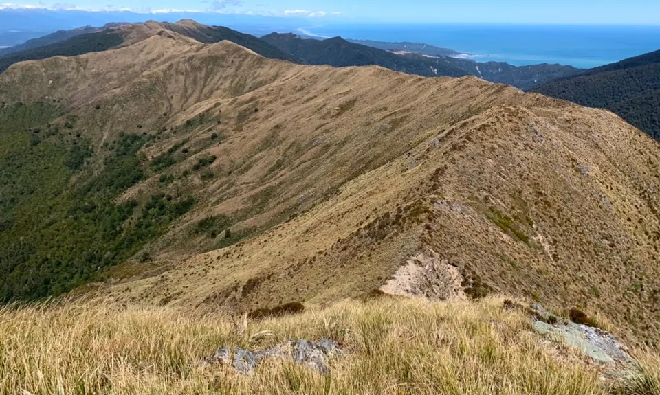 Mt Watson Croesus Loop, West Coast