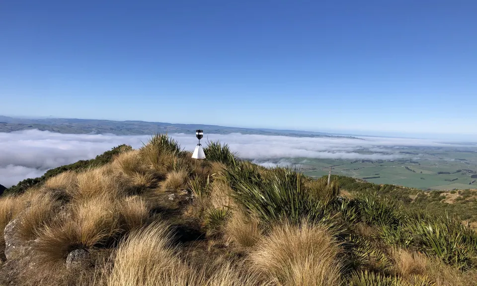 Croydon Bush - Richardson loop, Southland