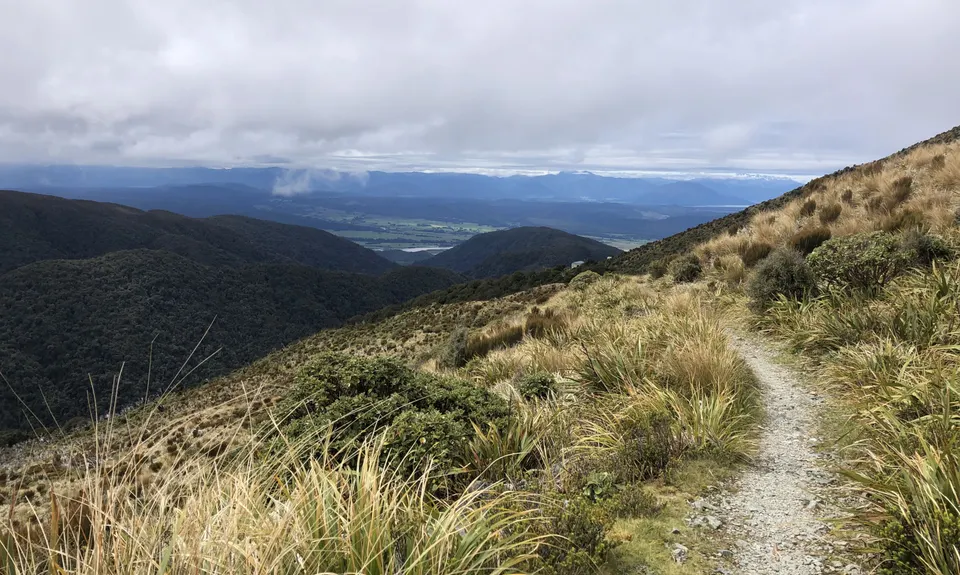 Mt Watson Croesus Loop, West Coast