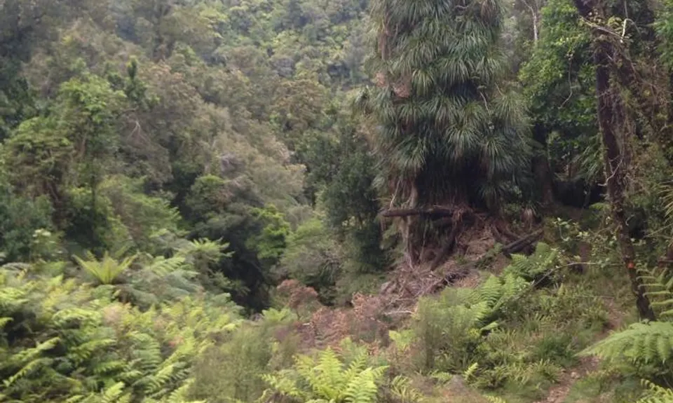 Where in the Whakanui?, Wellington