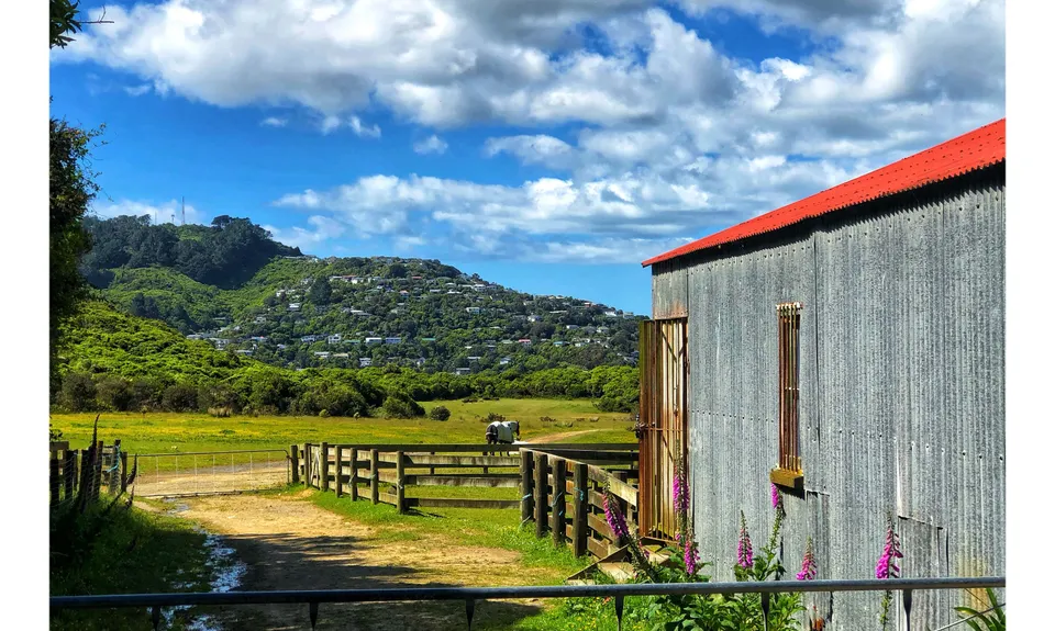 Linking the Reserves, Wellington