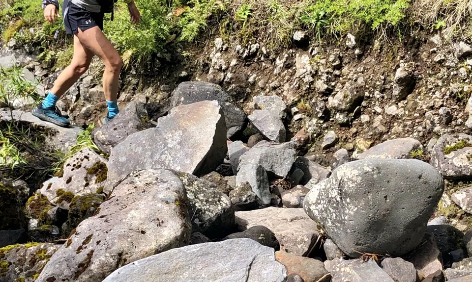 Wilkie and The Enchanted Ridge, Taranaki