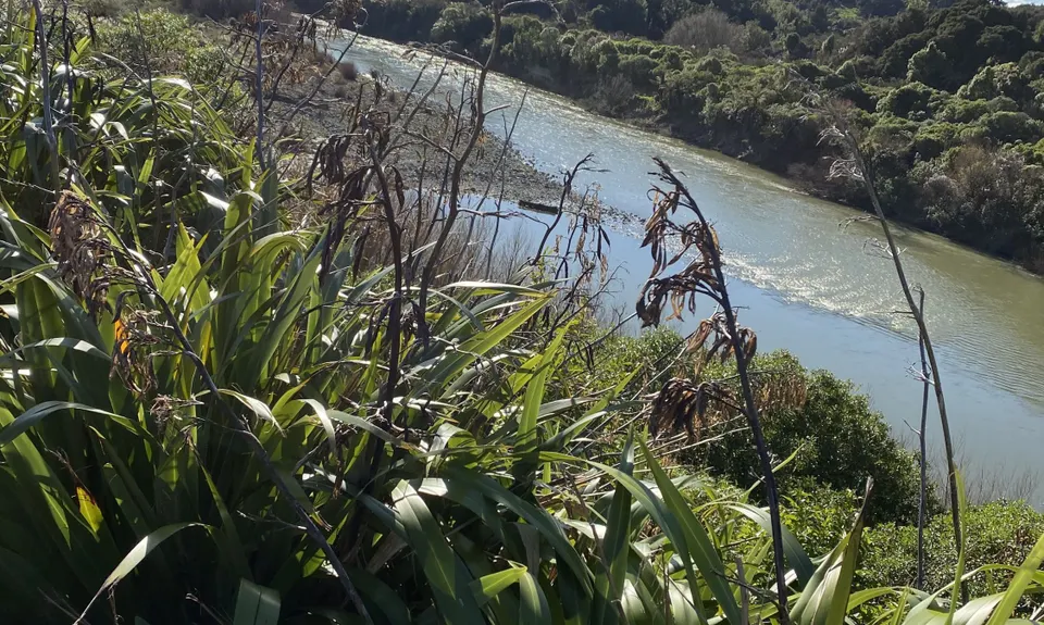 Tawa Loop - Manawatu Gorge, Manawatu - Wanganui