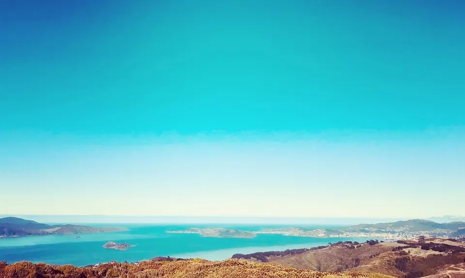 Belmont Tadpole Loop, Wellington