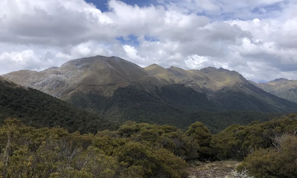 Salisbury over Arthur, Tasman