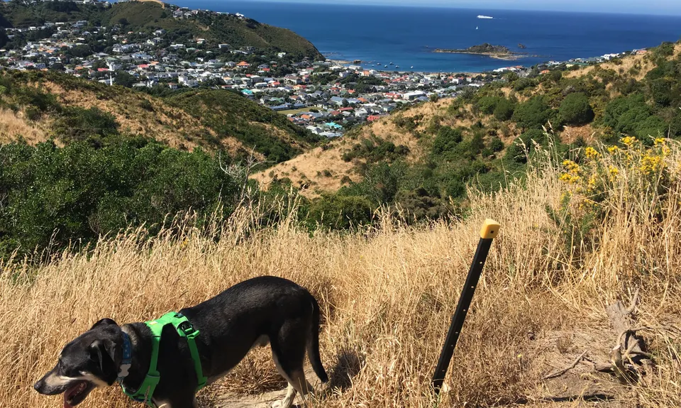 Tawatawa Trails, Wellington