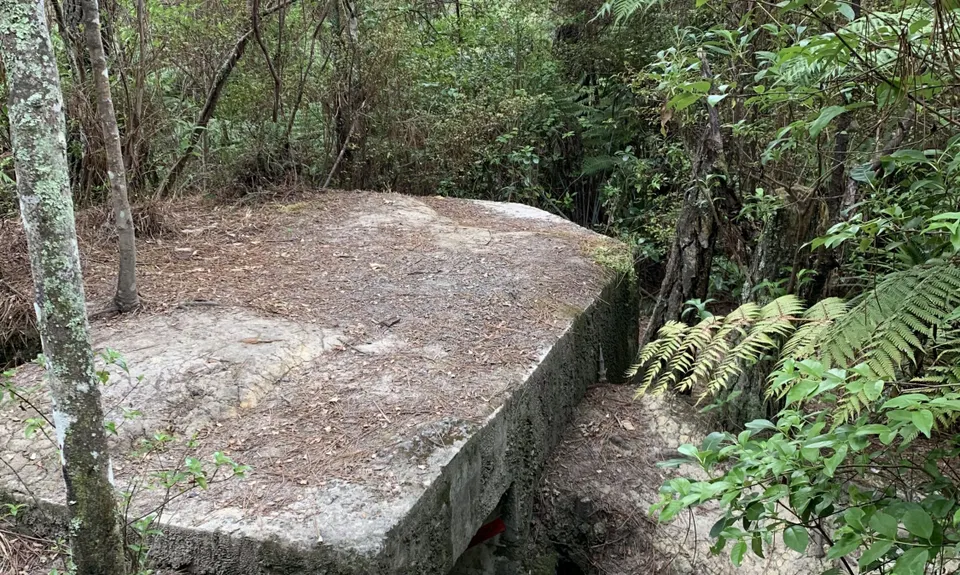 Centennial Park trails (Campbells Bay), Auckland